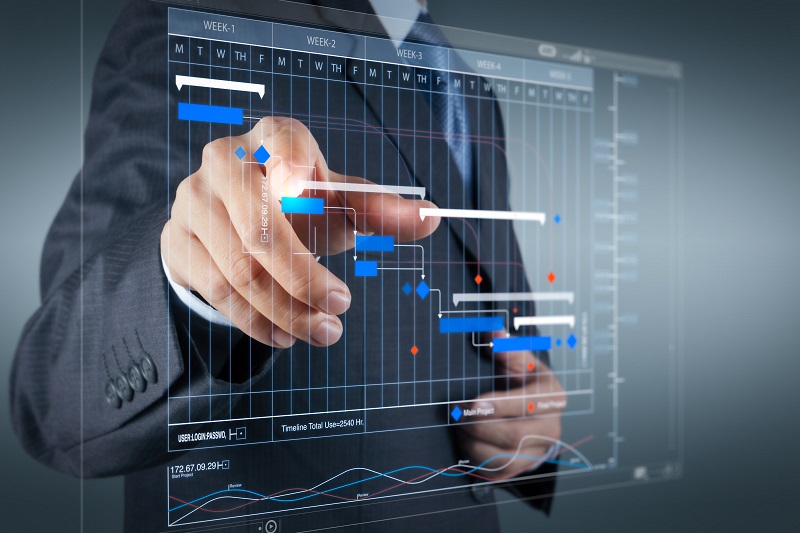 Planning & Scheduling (Primavera)